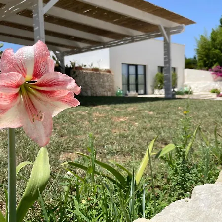 Anna Maria Villa *