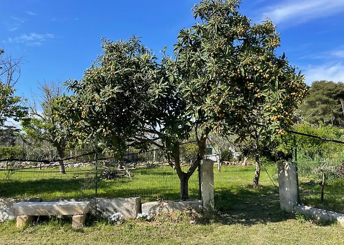 Anna Maria Вилла *